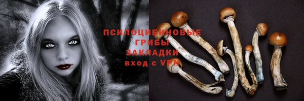 мяу мяу мука Лагань