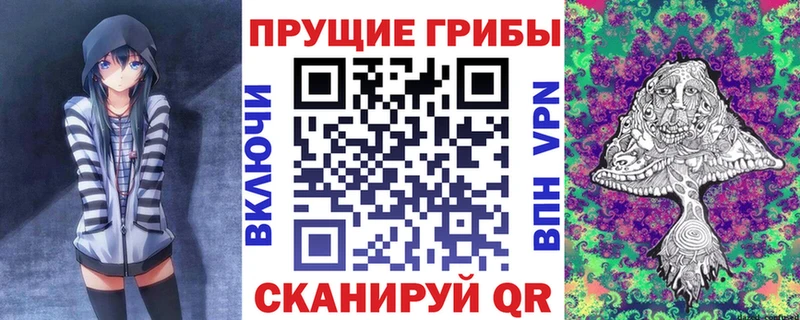 Галлюциногенные грибы прущие грибы продажа наркотиков Тында